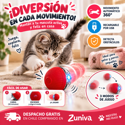 Pelota inteligente Mascota con cuerda