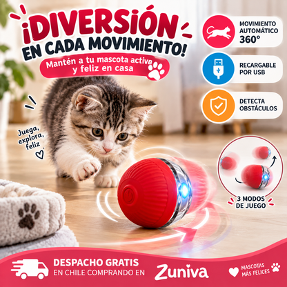 Pelota inteligente Mascota con cuerda